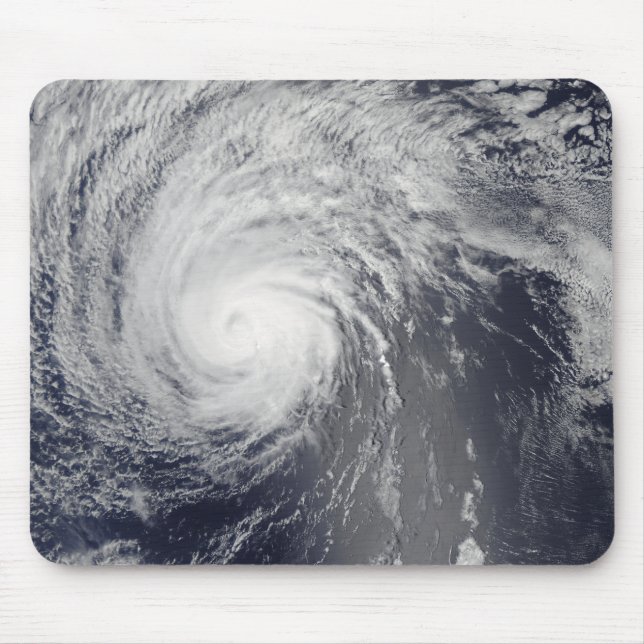 Hurricane Felicia Musmatta (Framsidan)