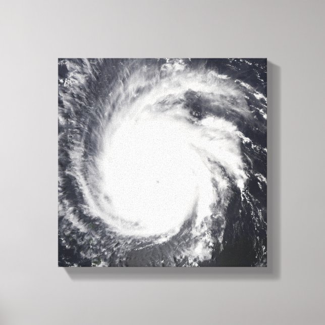 Hurricane Frances Canvastryck (Framsida)