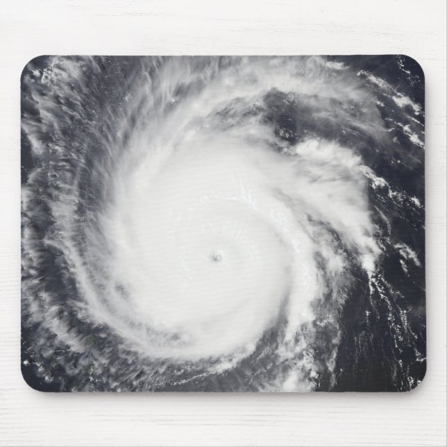 Hurricane Frances Musmatta (Framsidan)
