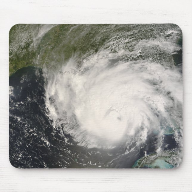Hurricane Gustav Musmatta (Framsidan)