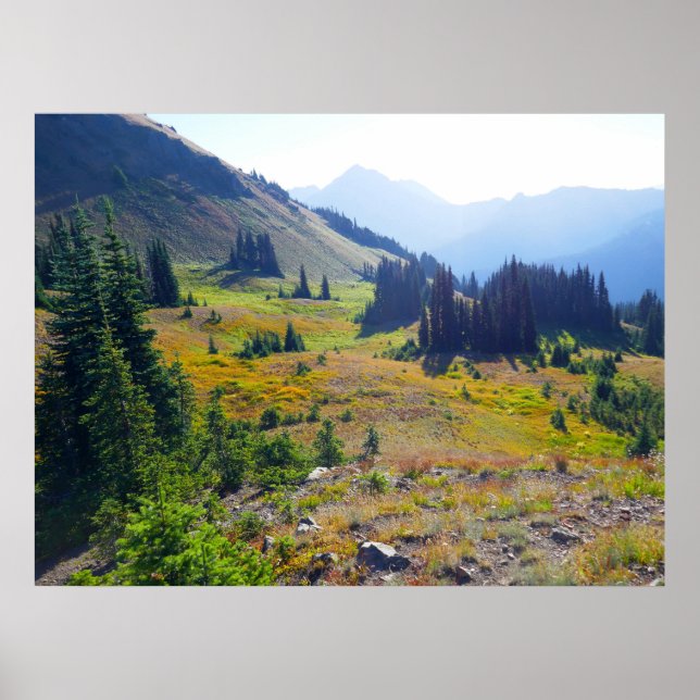 Hurricane Ridge Trail Poster (Framsidan)