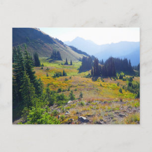 Hurricane Ridge Trail Vykort