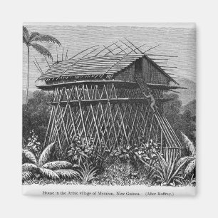 Hus i den Arfak byn av Memiwa, New Guinea Magnet