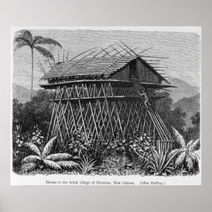 Hus i den Arfak byn av Memiwa, New Guinea Poster