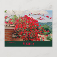 Hus Med Blommor Caracas Venezuela