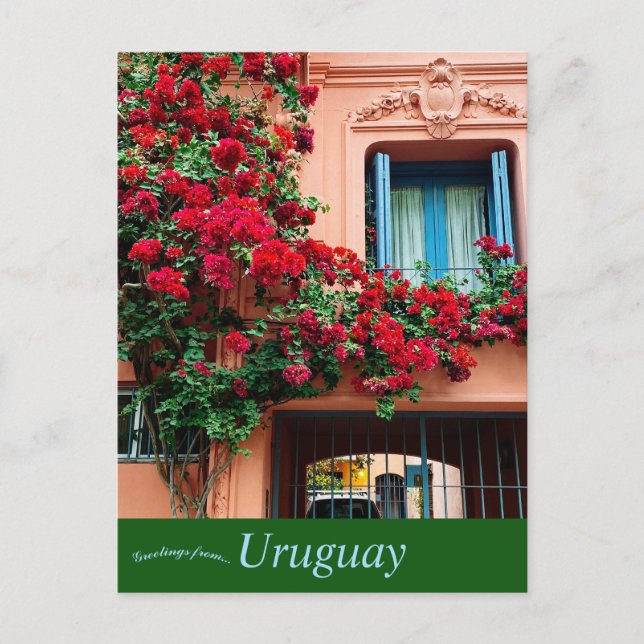 Hus och blommor i Uruguay Vykort (Framsida)