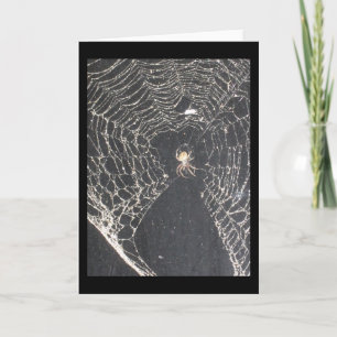 Hus Spider-gratulationskort Kort