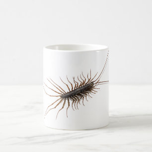 HUSCENTIPEDE. KAFFEMUGG