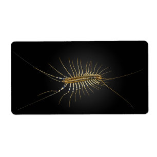 HusCentipedeScutigera Coleoptrata Fraktsedel