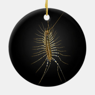 HusCentipedeScutigera Coleoptrata Julgransprydnad Keramik