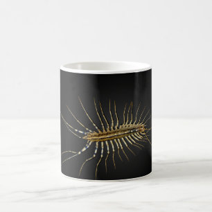 HusCentipedeScutigera Coleoptrata Kaffemugg