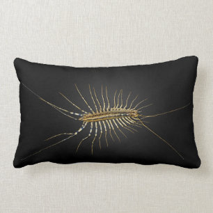 HusCentipedeScutigera Coleoptrata Lumbarkudde