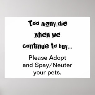 Husdjur Adoptera Sterilisera Kastrera Överpopulati Poster
