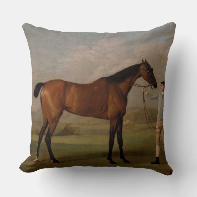 husdjur för sportar för ritt för hästlantgårdranch kudde (Framsida)