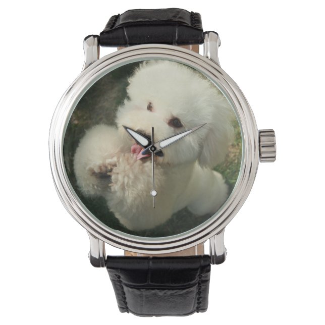 Husdjur, Hund, Pudel Armbandsur (Framsida)