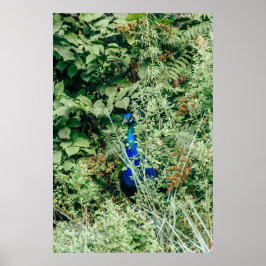 Husdjur i grönt buskar poster