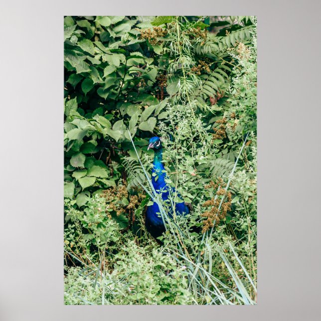 Husdjur i grönt buskar poster (Framsidan)