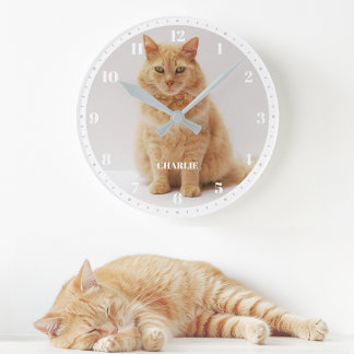 Husdjur Katt Foto Anpassat Namn och Nummer Vitt & Rund Klocka
