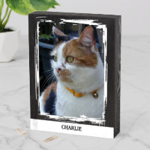 Husdjur lägg till namn svart vit katt foto rustik