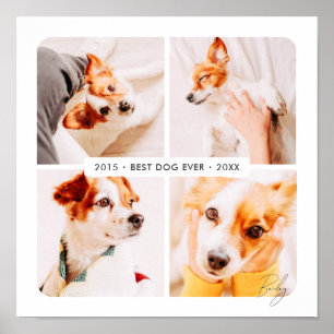 Husdjur Minnesvärd Bästa Hund Någonsin Modern Foto Poster