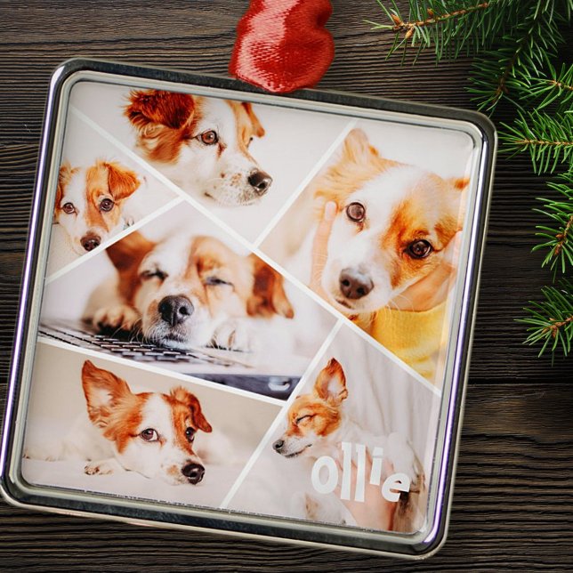 Husdjur Modern Simple Anpassningsbar 6 Bilder Coll Julgransprydnad Metall (Skapare uppladdad)