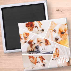 Husdjur Modern Simple Anpassningsbar 6 Bilder Coll Magnet