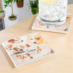 Husdjur Modern Simple Anpassningsbar 6 Bilder Coll Stenunderlägg