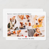 Husdjur Moderna Enkla Anpassade 6 Bilder Collage F