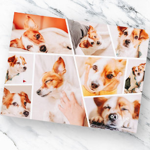 Husdjur Moderna Enkla Anpassade 9 Bilder Collage F Meddelande Vykort