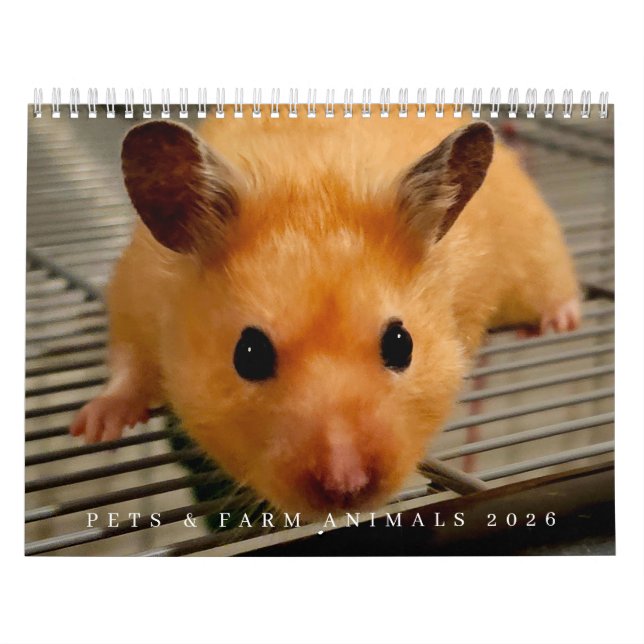 Husdjur och lantbruksdjur 2026 kalender (Omslag)