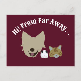 Husdjur som kollar in på dig vykort