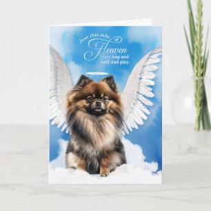Husdjur Sympati Förlust Hund Tri Color Pomeranian Kort
