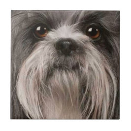 husdjuret belägger med tegel 2 kakelplatta