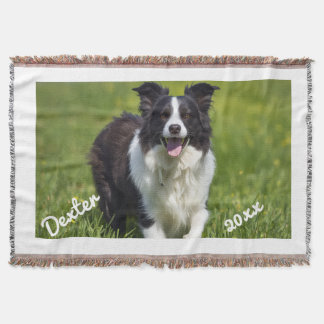 Husdjursfoto Border Collie Vit Text Anpassa Filt