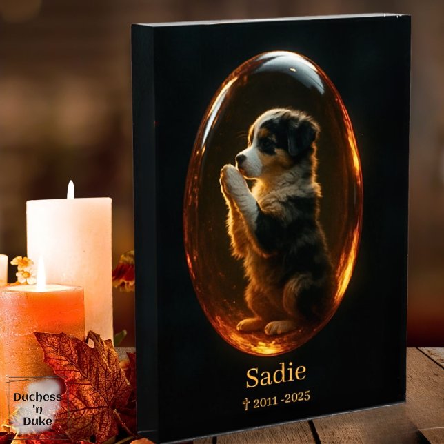 Husdjursminne Australian Shepherd Amber Canvas (Pet Memorial Australian Shepherd Amber Art Print)