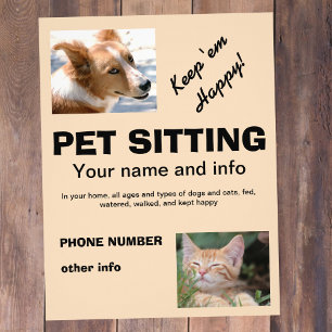 Husdjurssittande hund och katt flyer