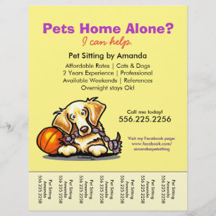 Husdjurssittarannons Golden Retriever Tårark Reklamblad