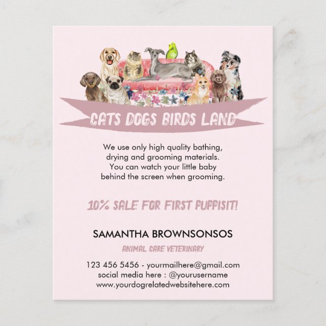 Husdjurssittarservice | Hund Katt Fågel | Rosa sof Flygblad (Framsidan)