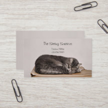 Husdjurssittarservice Kattgrooming Hundpromenader
