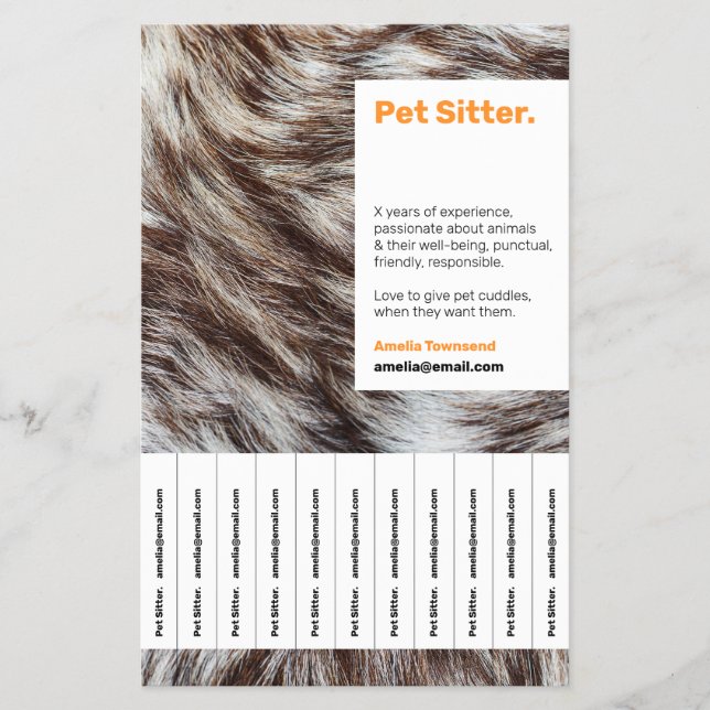 Husdjurssitter Flyers Hundpromenerare Djurvård Sit (Framsidan)
