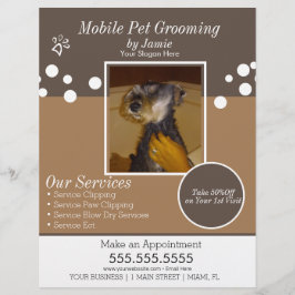 Husdjurstjänster Grooming Hund Foto Reklamblad