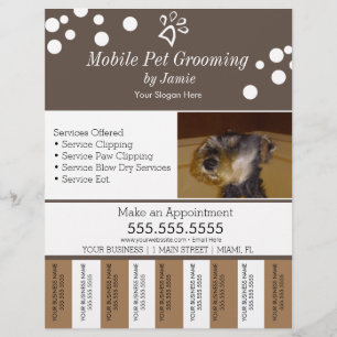 Husdjurstjänster Grooming Hund Tår Av Ränder Flyer
