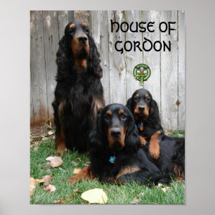 HUSET GORDON Gordon Setter Generation Poster