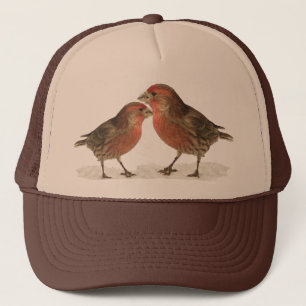 HusFinches Keps
