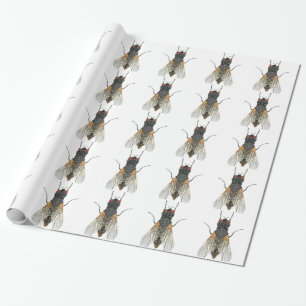 husfluga. presentpapper
