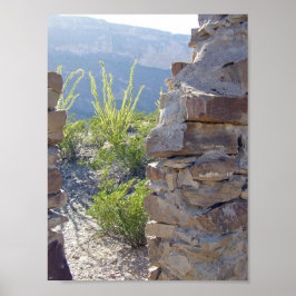 Husfördärv, Big Bend National Park, Texas Poster
