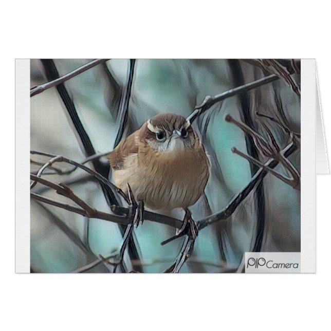 Husgärdsmyg Hälsningskort (Framsidan Horizontal)