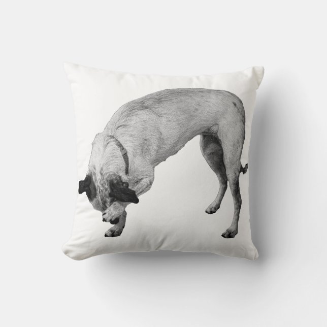 Hush-and-Grin Terrier Kudde (Framsida)
