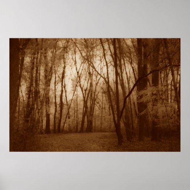 Hush Poster (Framsidan)