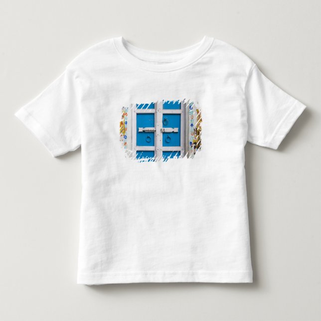 Hushållsmålat blått, Udaipur, Rajasthan, Indien T Shirt (Framsida)